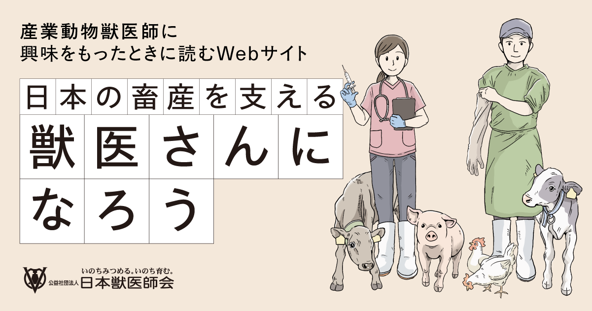 臨床獣医 2022年 1月〜12月 全12冊＋増刊号セット 産業動物 獣医学 臨床獣医 2022年 1月〜12月 全12冊＋増刊号セット 産業動物 獣医学