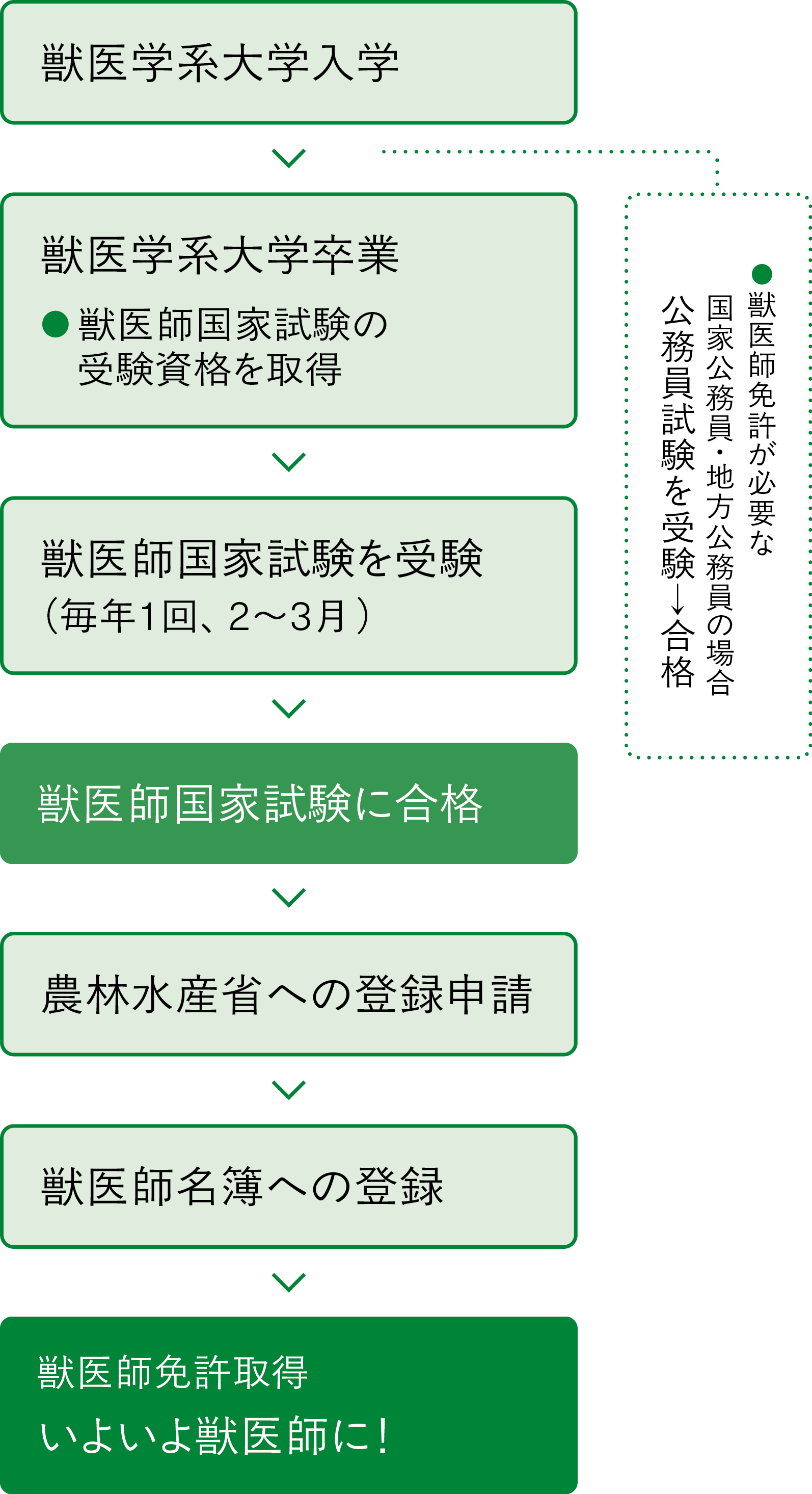 獣医師系大学入学＞獣医師系大学卒業　※獣医師国家試験の受験資格を取得＞獣医師系国家試験を受験（毎年1回、2〜3月）＞獣医師系国家試験に合格＞農林水産省への登録申請＞獣医師名簿への登録＞獣医師免許取得　いよいよ獣医師に！　※獣医師免許が必要な国家公務員・地方公務員の場合公務員試験を受験→合格