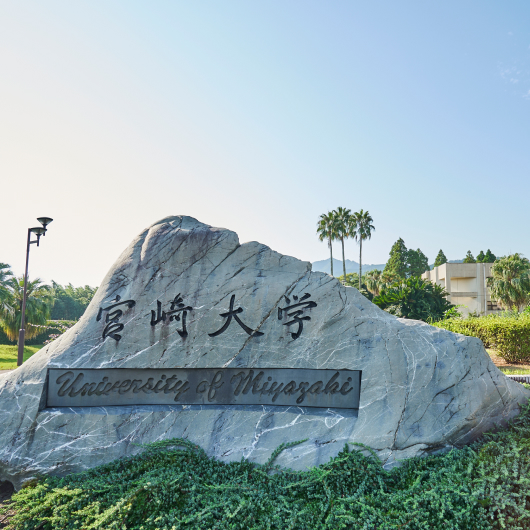 宮崎大学