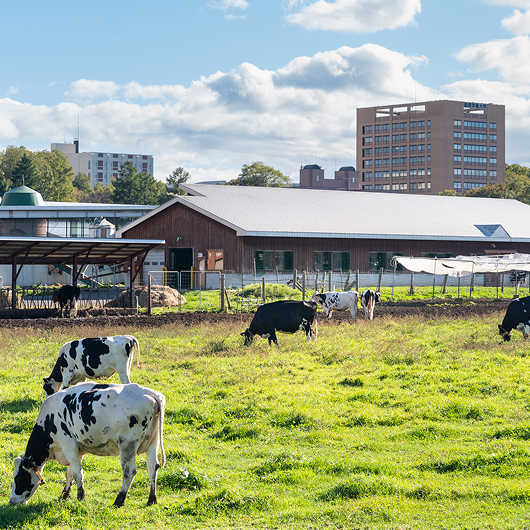酪農学園大学