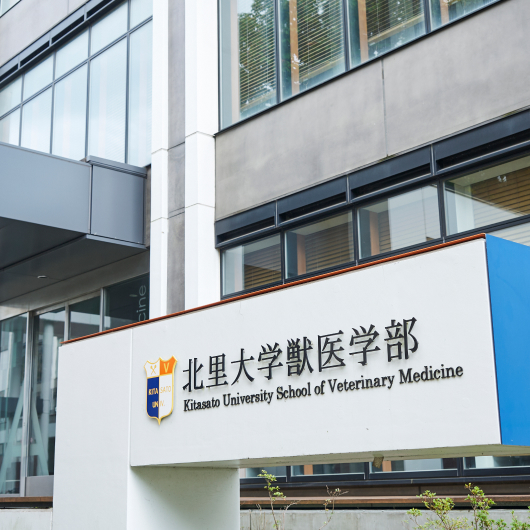 北里大学