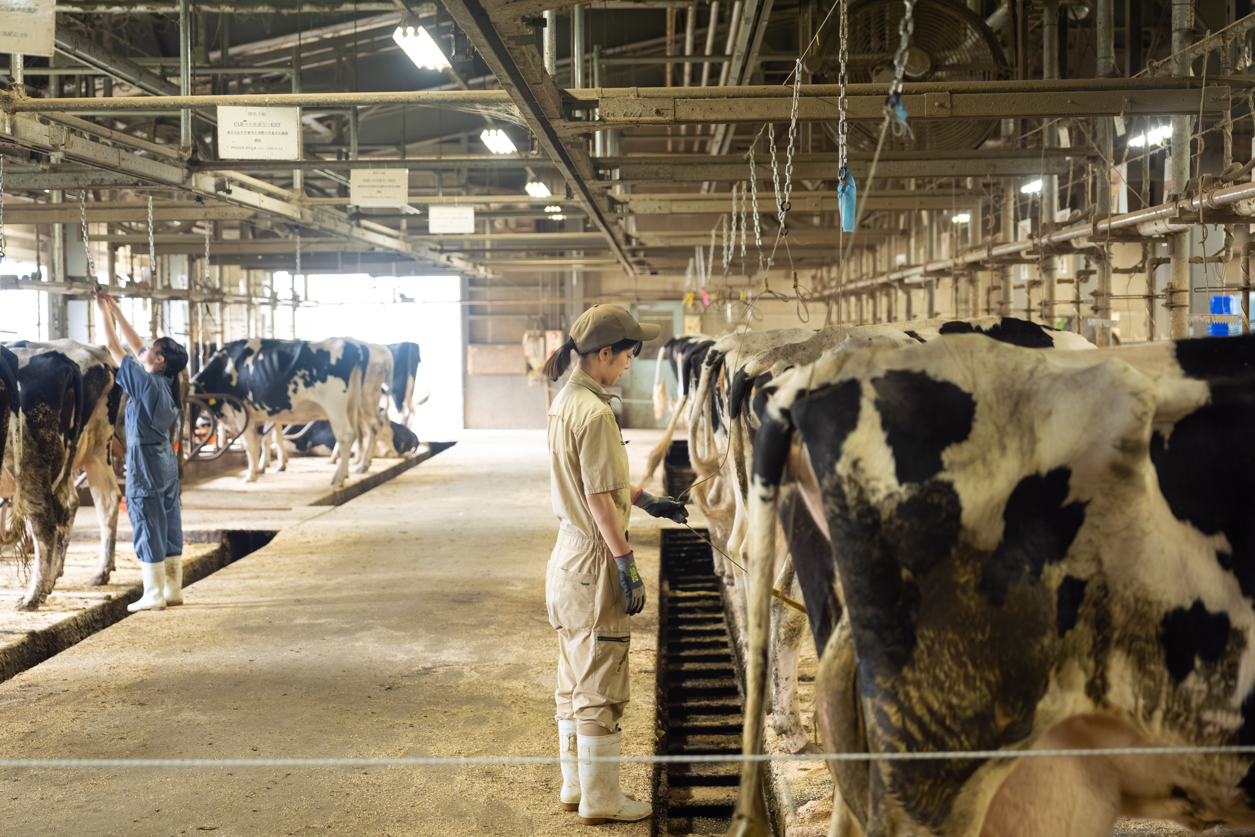 北海道大学獣医学部
