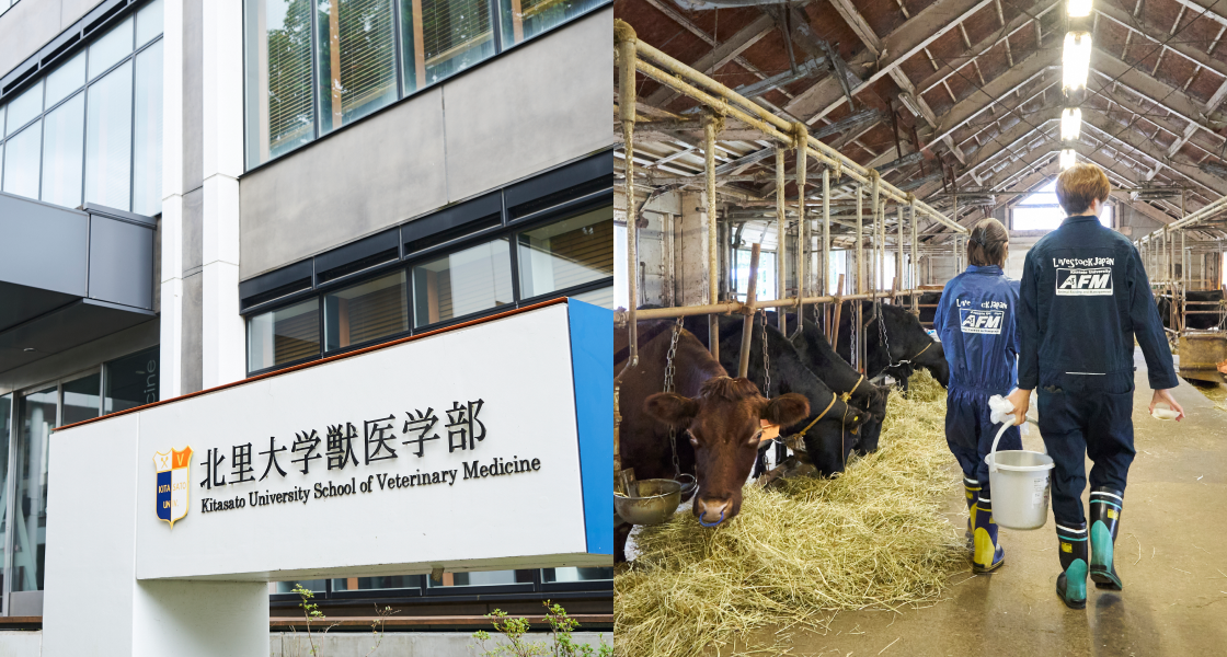 北里大学 獣医学部 獣医学科