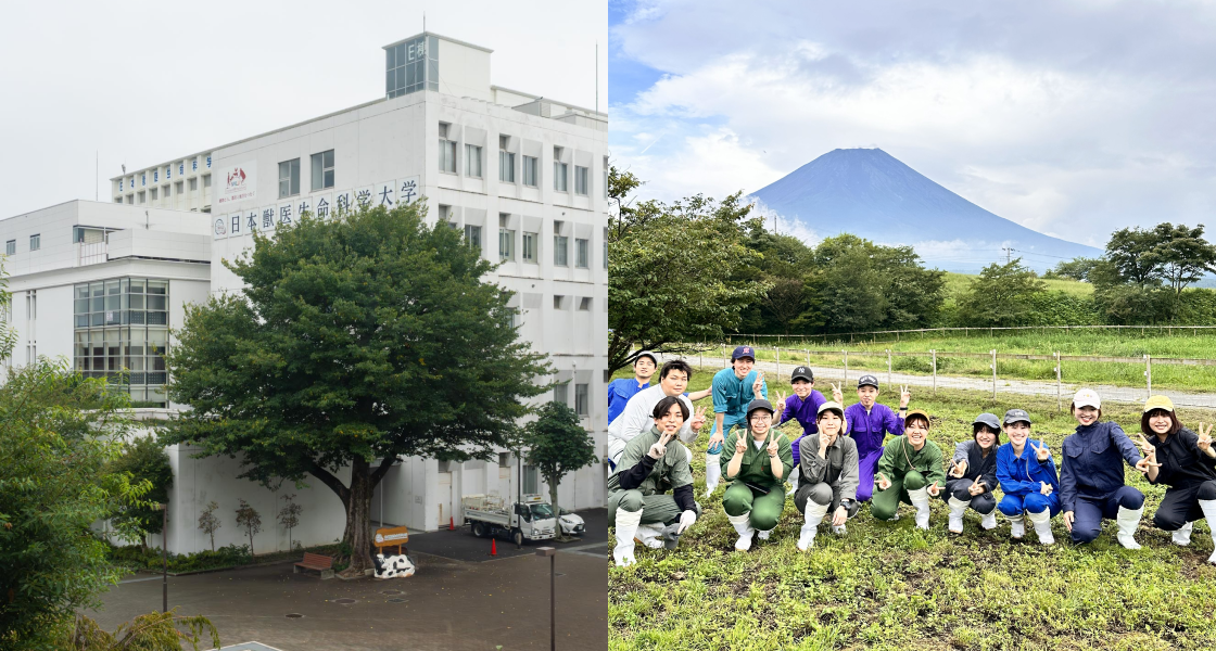 日本獣医生命科学大学