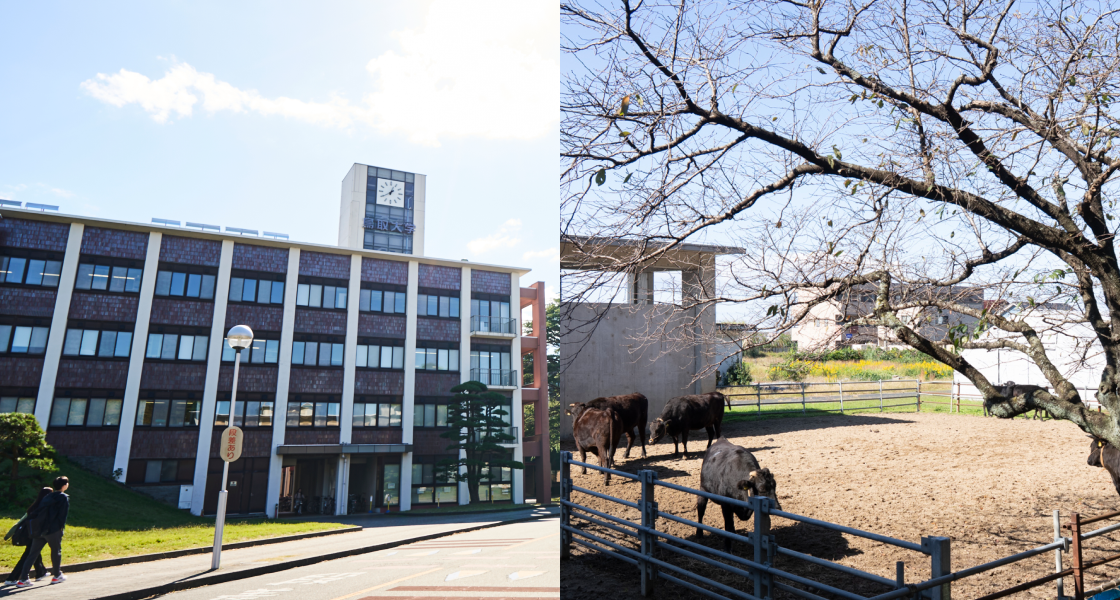 鳥取大学 農学部共同獣医学科